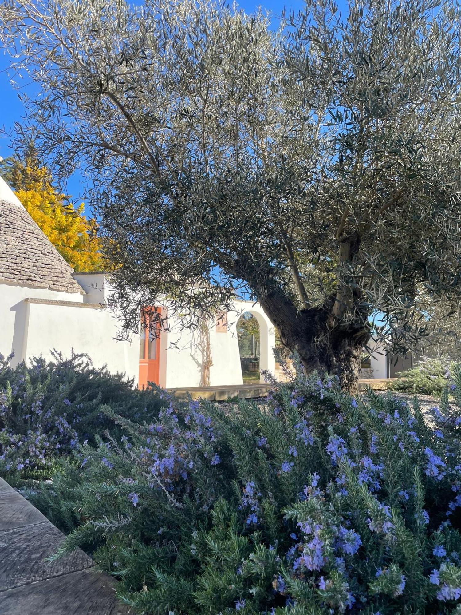 Trullo Panna Fragola - Exclusive Four Bedroom Villa & Private Pool Martina Franca Exterior foto